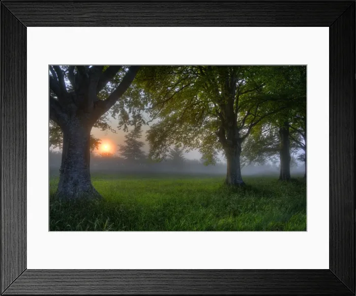 Framed Print : Misty dawn at Bradbury rings, Dorset, England