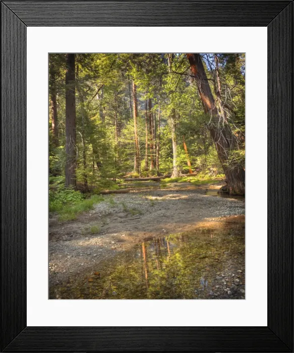 Framed Print : Creek reflections, Yosemite national park, California Framed Print : Creek reflections, Yosemite national park, California