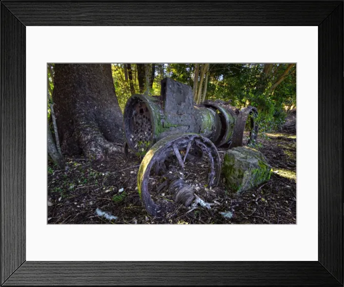 Framed Print : Old Steam traction engine lying in a rainforest on Norfolk Island Framed Print : Old Steam traction engine lying in a rainforest on Norfolk Island