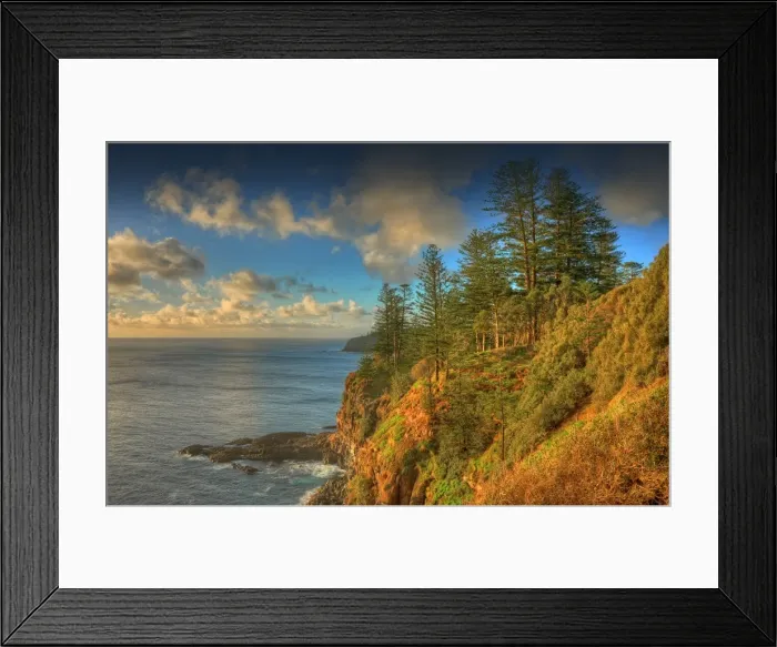 Framed Print : Coastline in the national park, Norfolk Island Framed Print : Coastline in the national park, Norfolk Island