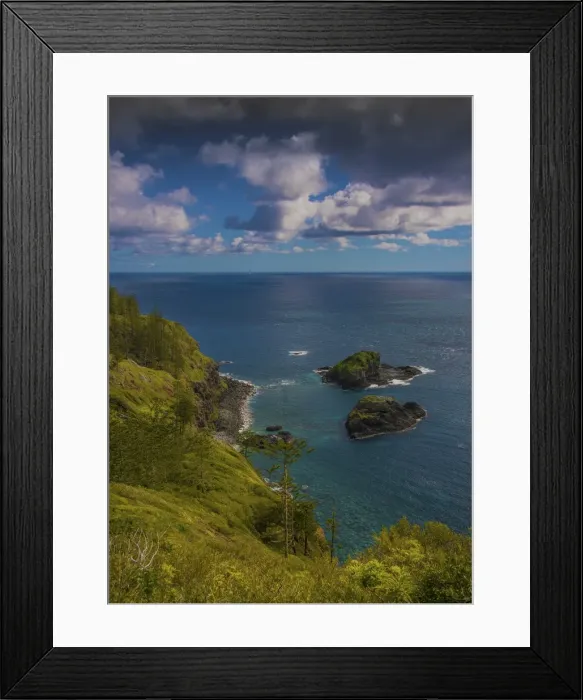 Framed Print : Coastline in the national park, Norfolk Island Framed Print : Coastline in the national park, Norfolk Island
