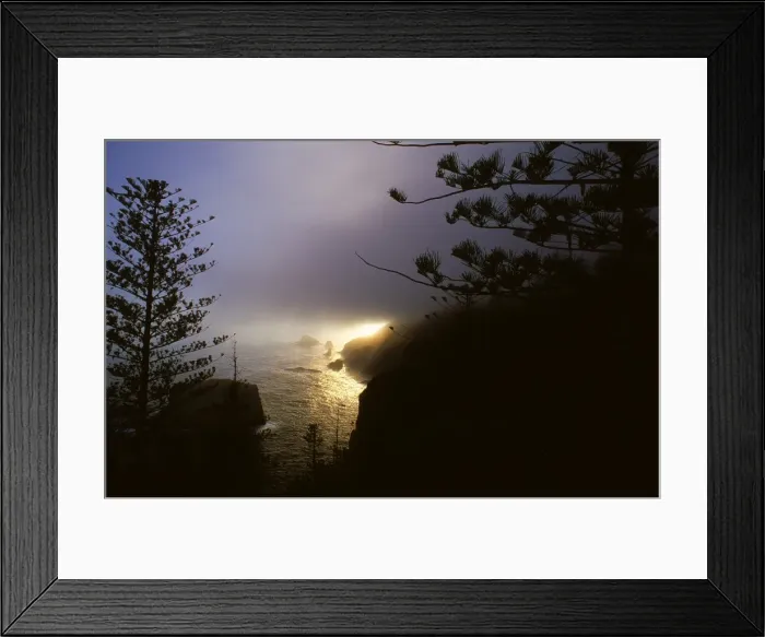 Framed Print : Misty coastline on Norfolk Island Framed Print : Misty coastline on Norfolk Island
