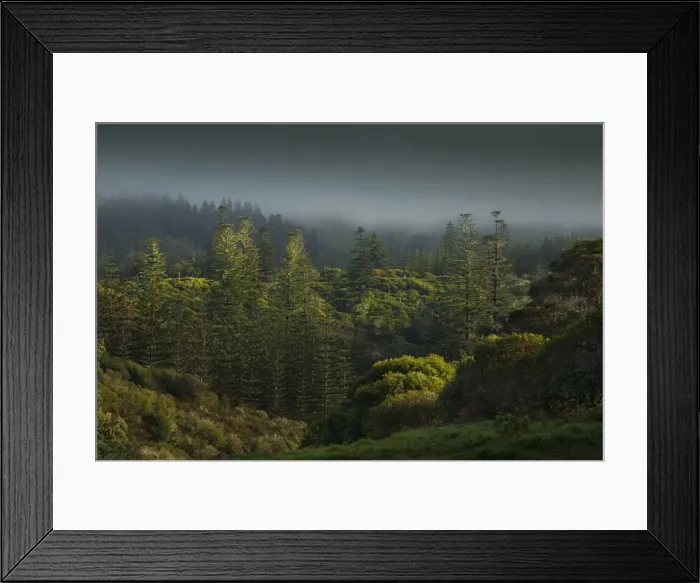 Framed Print : Mist rising from the national park after rain, Norfolk Island