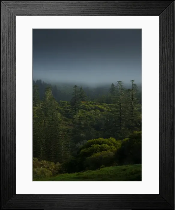 Framed Print : Mist rising from the national park after rain, Norfolk Island Framed Print : Mist rising from the national park after rain, Norfolk Island