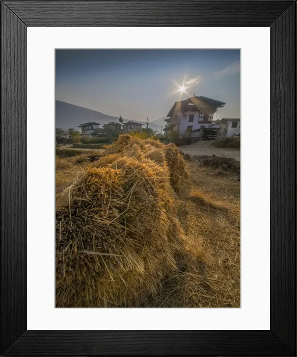 Framed Print : A dawn sky lights up the Punakha valley in Bhutan Framed Print : A dawn sky lights up the Punakha valley in Bhutan