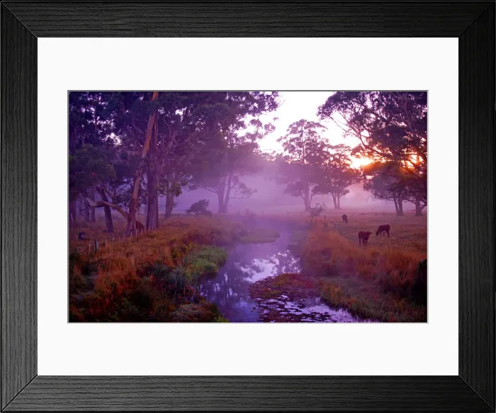 Framed Print : First light of dawn at the Dasher River near Sheffield, central Tasmania Framed Print : First light of dawn at the Dasher River near Sheffield, central Tasmania