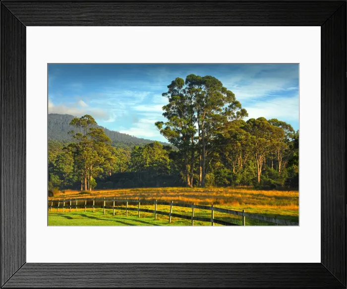 Framed Print : Pretty countryside on south Bruny Island, southern Tasmania Framed Print : Pretty countryside on south Bruny Island, southern Tasmania