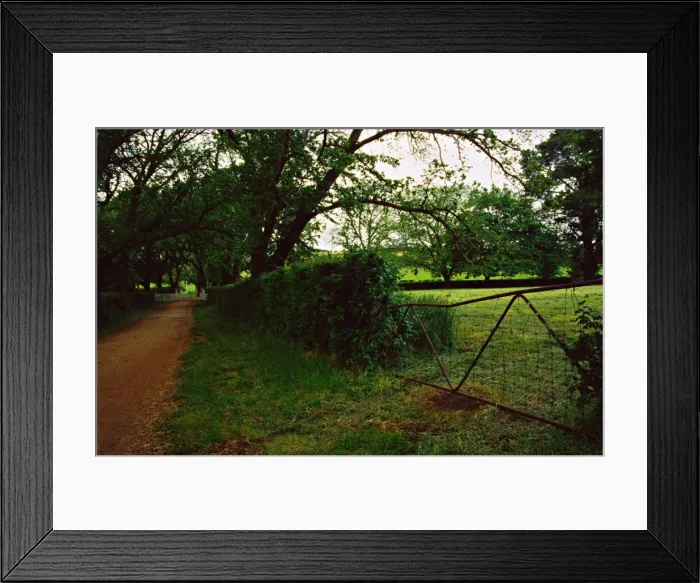 Framed Print : Country laneway near longford, northern Tasmania