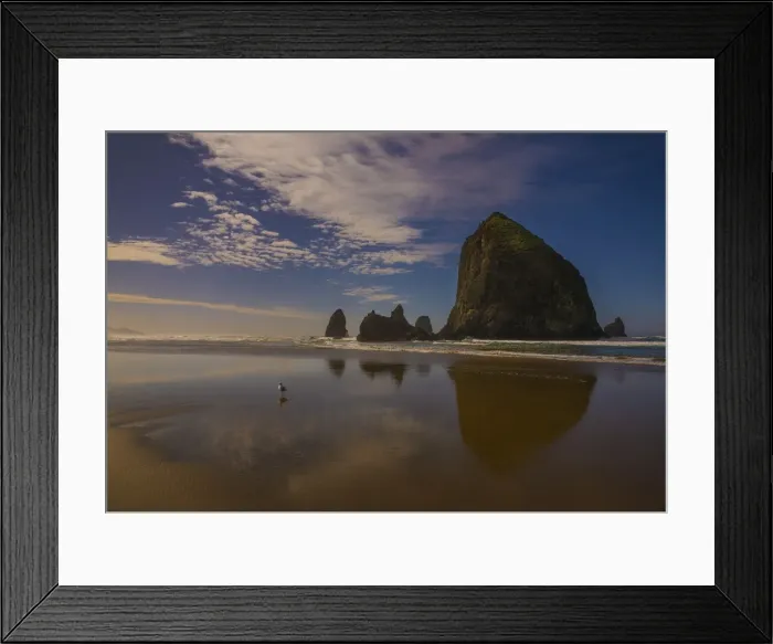 Framed Print : Cannon beach, Oregon coastline, United States