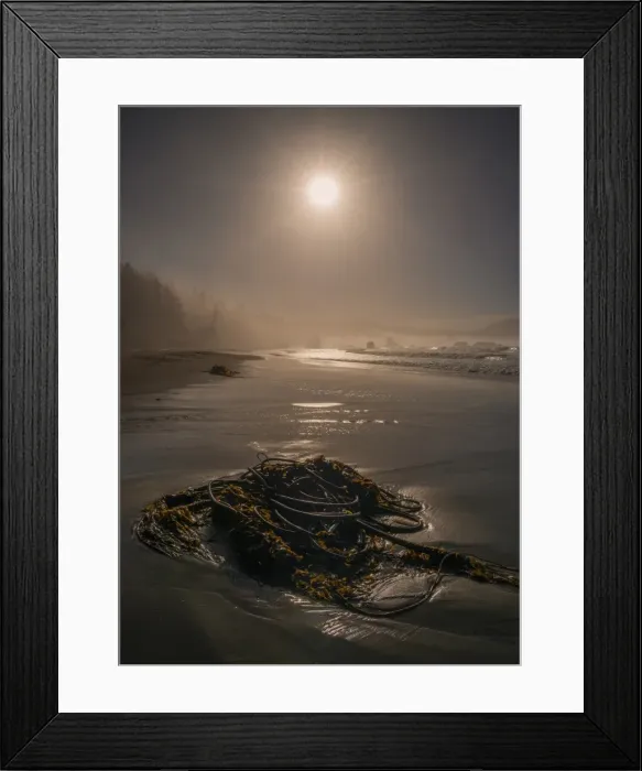 Framed Print : Coastline near Port Orford, Oregon, United States Framed Print : Coastline near Port Orford, Oregon, United States