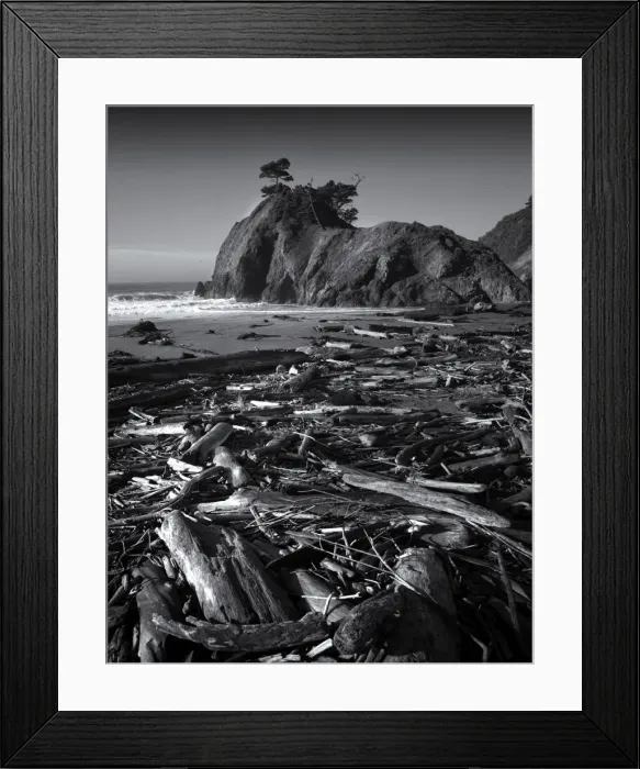 Framed Print : Coastline near Port Orford, Oregon, United States Framed Print : Coastline near Port Orford, Oregon, United States
