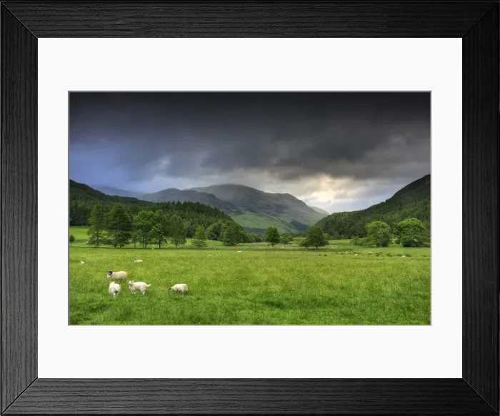 Framed Print : Kinloch, Rannoch, Western Highlands, Scotland Framed Print : Kinloch, Rannoch, Western Highlands, Scotland