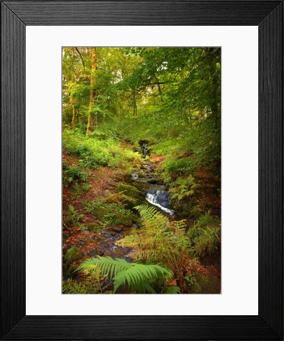 Framed Print : Hidden waterfall, Loch Lomond, the Trossachs, Scotland
