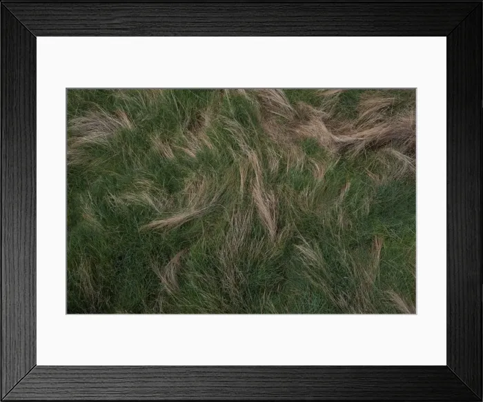 Framed Print : Yellowstone National Park, Wyoming, United States