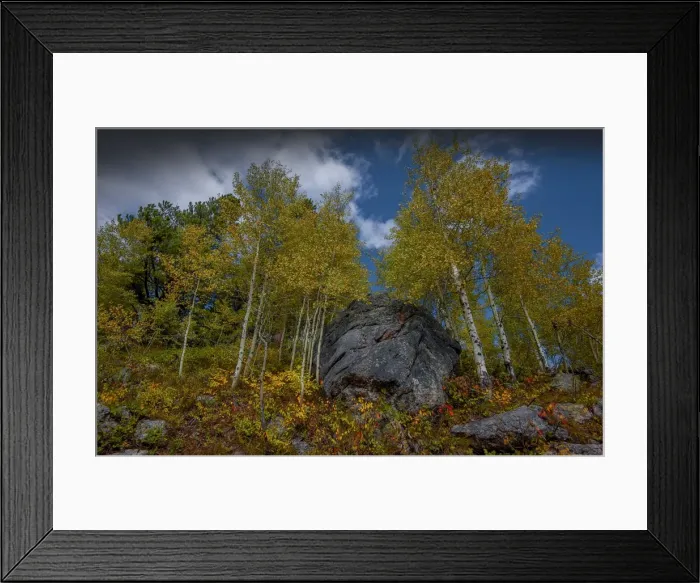 Framed Print : Fall colours Grand Teton National Park, Wyoming, United States Framed Print : Fall colours Grand Teton National Park, Wyoming, United States