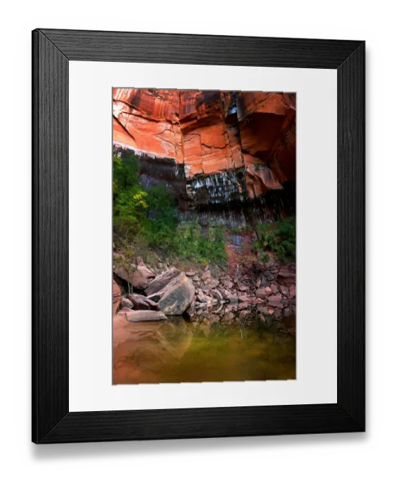 Framed Print : Zion national Park in south western United States