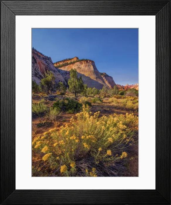 Framed Print : Chequerboard Mesa Zion national Park in south western United States Framed Print : Chequerboard Mesa Zion national Park in south western United States