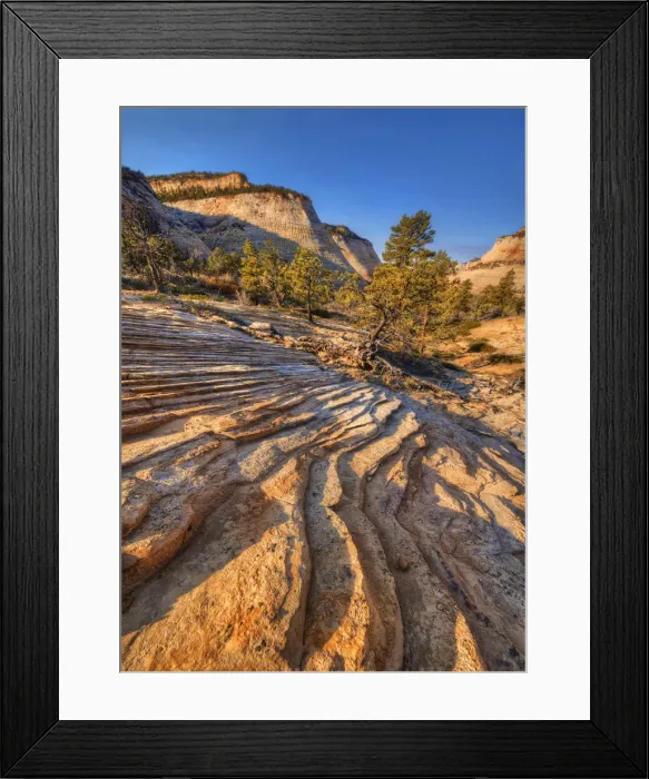 Framed Print : Chequerboard Mesa Zion national Park in south western United States Framed Print : Chequerboard Mesa Zion national Park in south western United States
