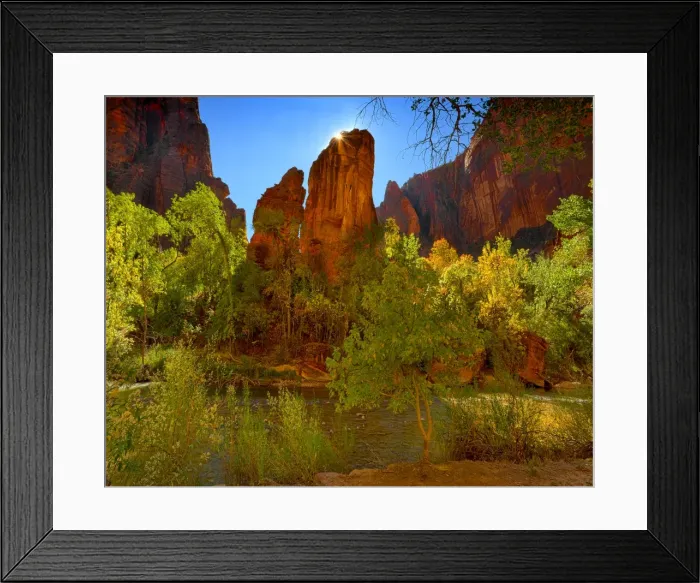 Framed Print : Zion national Park in south western United States