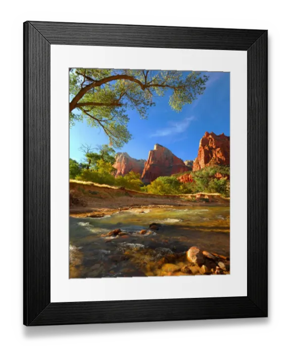 Framed Print : Virgin River Zion national Park in south western United States