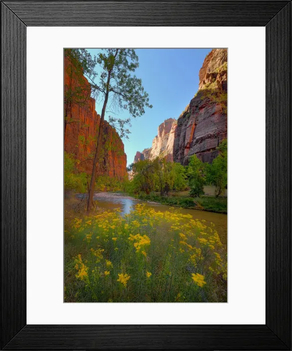 Framed Print : Virgin River Zion national Park in south western United States