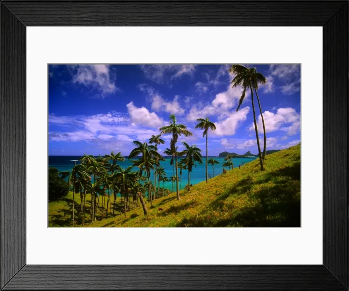 Framed Print : Lord Howe Island, majestic and scenically wonderful, is part of New South Wales, Australia