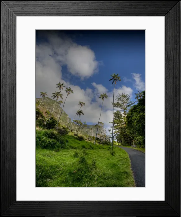 Framed Print : Lord Howe Island, majestic and scenically wonderful, is part of New South Wales, Australia Framed Print : Lord Howe Island, majestic and scenically wonderful, is part of New South Wales, Australia