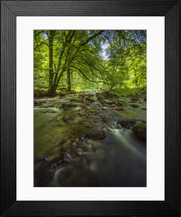 Framed Print : Dart River Devon moors, England