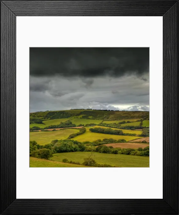 Framed Print : A countryside view near Corfe Castle, Isle of Purbeck, Dorset, England Framed Print : A countryside view near Corfe Castle, Isle of Purbeck, Dorset, England