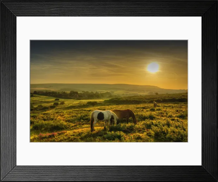 Framed Print : A countryside view near Corfe Castle, Isle of Purbeck, Dorset, England