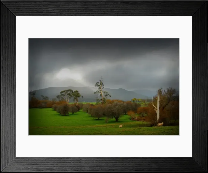 Framed Print : A clearing storm, Upper Blessington, North Central Tasmania, Australia