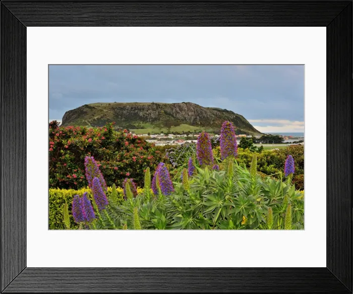 Framed Print : View to Circular Head, Stanley Tasmania, Australia