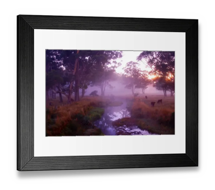 Framed Print : Winter Morning near Paradise, Central Tasmania, Australia