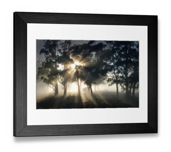 Framed Print : Blissful morning near Paradise, Central Tasmania, Australia