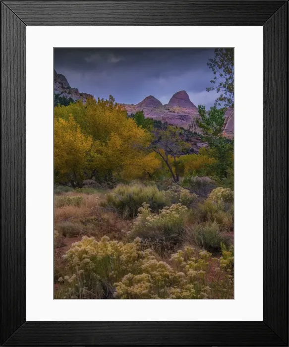 Framed Print : Capital Reef, late autumn colours, Utah, south west United States