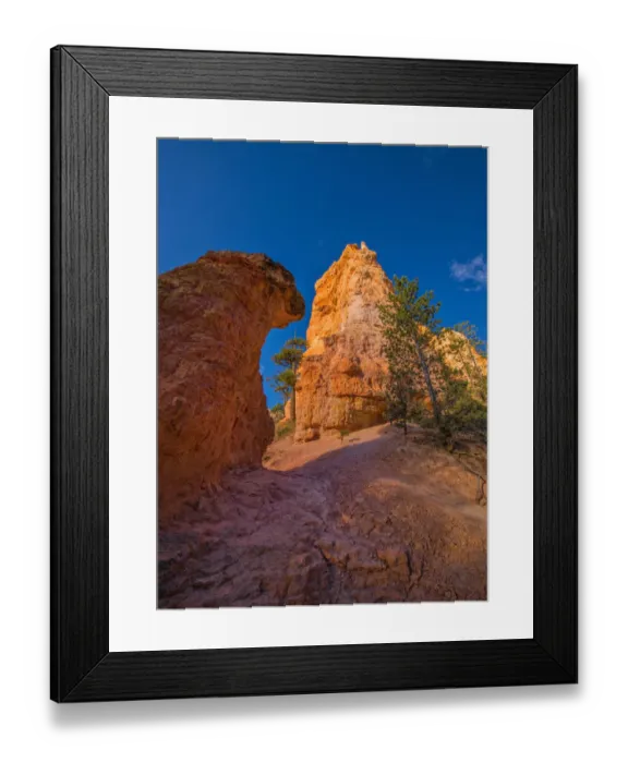 Framed Print : Bryce Canyon National Park, Utah, south west United States