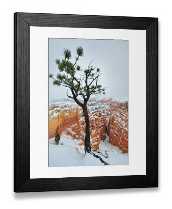 Framed Print : Bryce Canyon National park with a winter covering of snow, Utah, south west United States