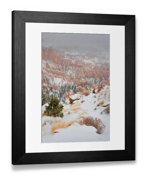 Framed Print : Bryce Canyon National park with a winter covering of snow, Utah, south west United States