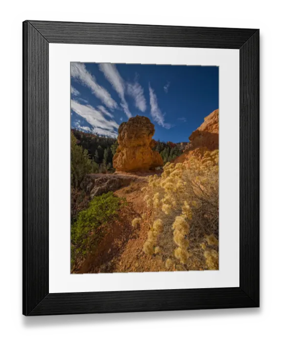 Framed Print : Bryce Canyon National Park, Utah, south west United States