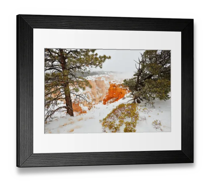 Framed Print : Bryce Canyon National park with a winter covering of snow, Utah, south west United States