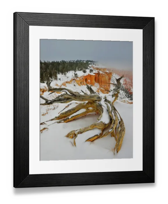 Framed Print : Bryce Canyon National park with a winter covering of snow, Utah, south west United States