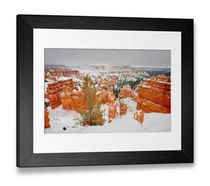 Framed Print : Bryce Canyon National park with a winter covering of snow, Utah, south west United States