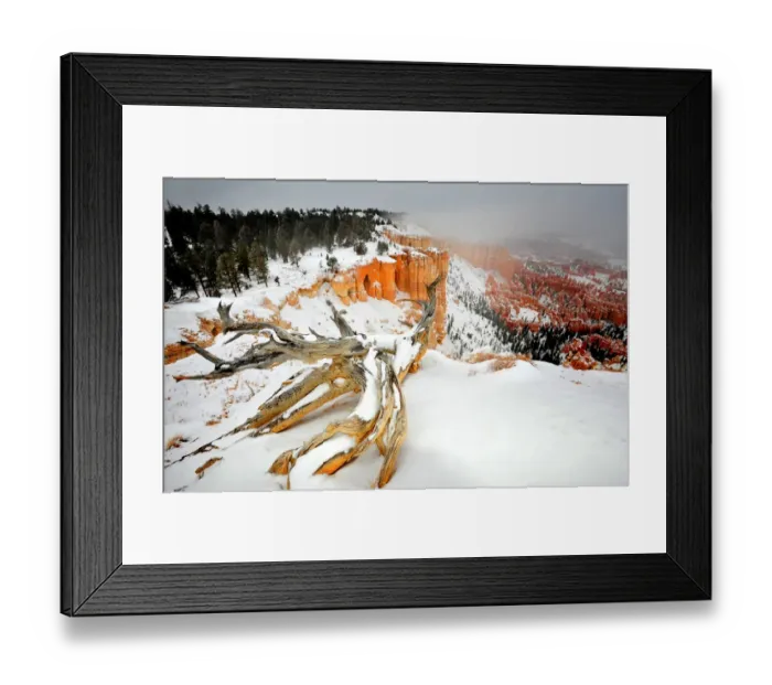 Framed Print : Bryce Canyon National park with a winter covering of snow, Utah, south west United States
