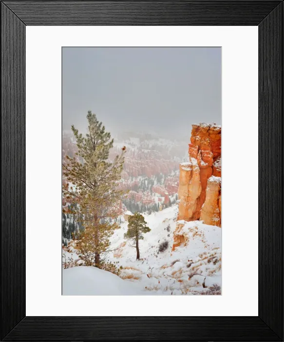 Framed Print : Bryce Canyon National park with a winter covering of snow, Utah, south west United States Framed Print : Bryce Canyon National park with a winter covering of snow, Utah, south west United States
