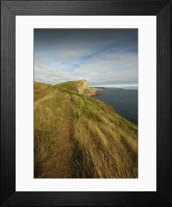 Framed Print : The coastal path at Worbarrow Bay, Dorset, England
