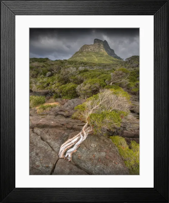 Framed Print : Scenically beautiful and a world heritage designated location, Lord Howe Island lies between the South Pacific ocean and the Tasman sea off the coast of New South Wales, Australia Framed Print : Scenically beautiful and a world heritage designated location, Lord Howe Island lies between the South Pacific ocean and the Tasman sea off the coast of New South Wales, Australia