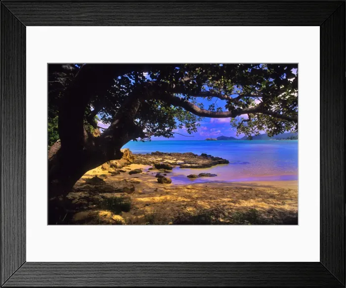 Framed Print : Scenically beautiful and a world heritage designated location, Lord Howe Island lies between the South Pacific ocean and the Tasman sea off the coast of New South Wales, Australia Framed Print : Scenically beautiful and a world heritage designated location, Lord Howe Island lies between the South Pacific ocean and the Tasman sea off the coast of New South Wales, Australia