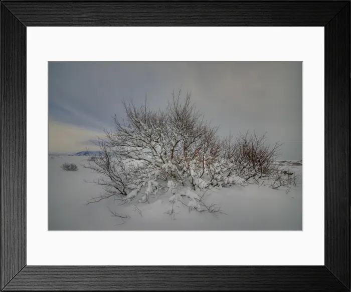Framed Print : A winter scene at Pingvellir, Central Iceland Framed Print : A winter scene at Pingvellir, Central Iceland