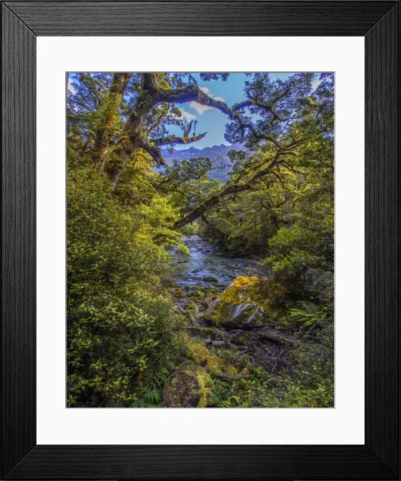 Framed Print : The Milford Track and Clinton River Valley in the South Island of New Zealand