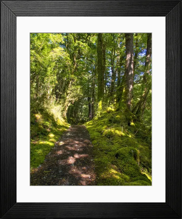 Framed Print : The Milford Track and Clinton River Valley in the South Island of New Zealand Framed Print : The Milford Track and Clinton River Valley in the South Island of New Zealand